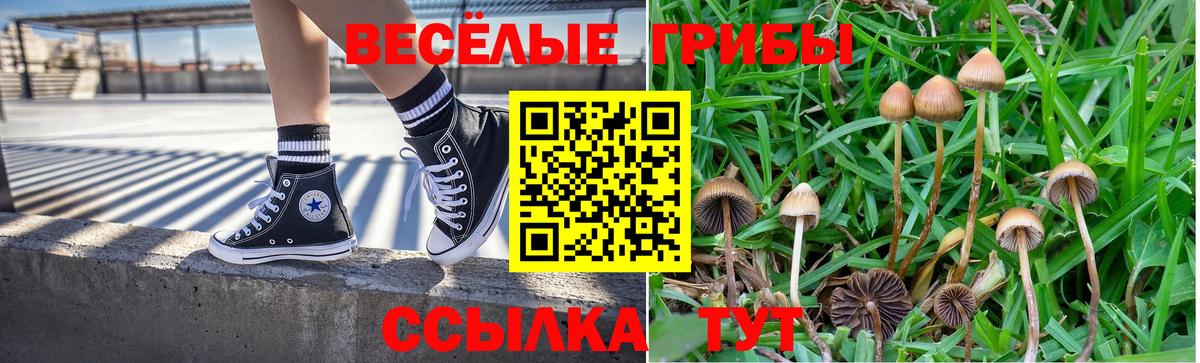 Шелехов  Галлюциногенные грибы Cubensis  Вход с VPN 