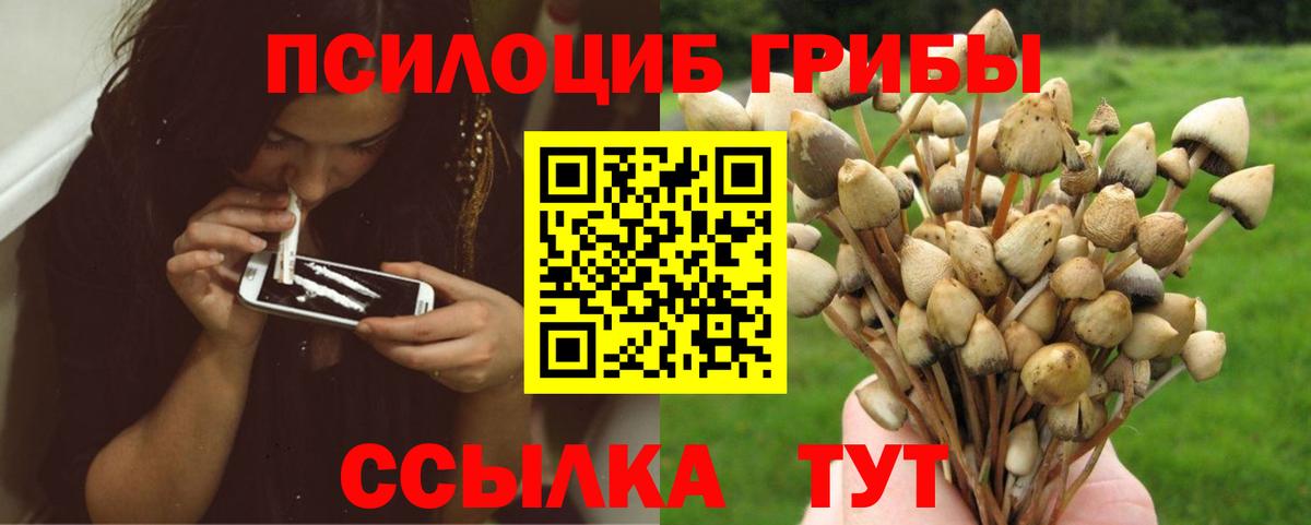 Галлюциногенные грибы мухоморы Шелехов